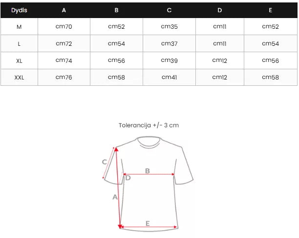 Men's gray T-shirt Rezer