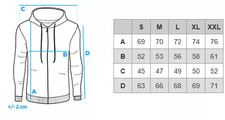 Men's gray turtleneck sweater Olin