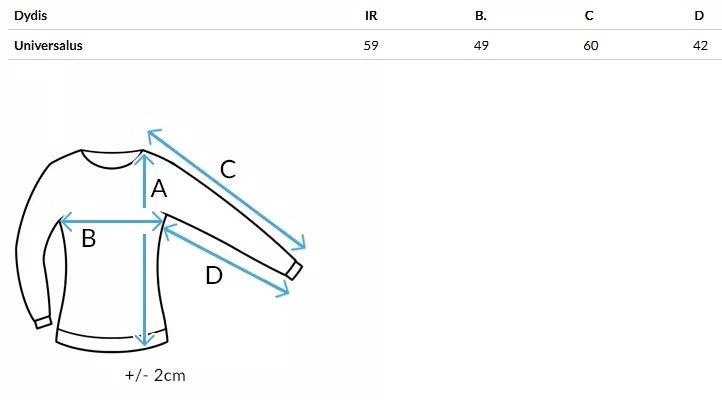 Women's gray sweater Nela