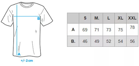 Men's gray T-shirt Montel