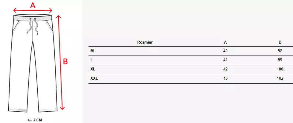 Men's light gray casual pants Denil