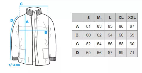 Men's winter gray jacket Alf
