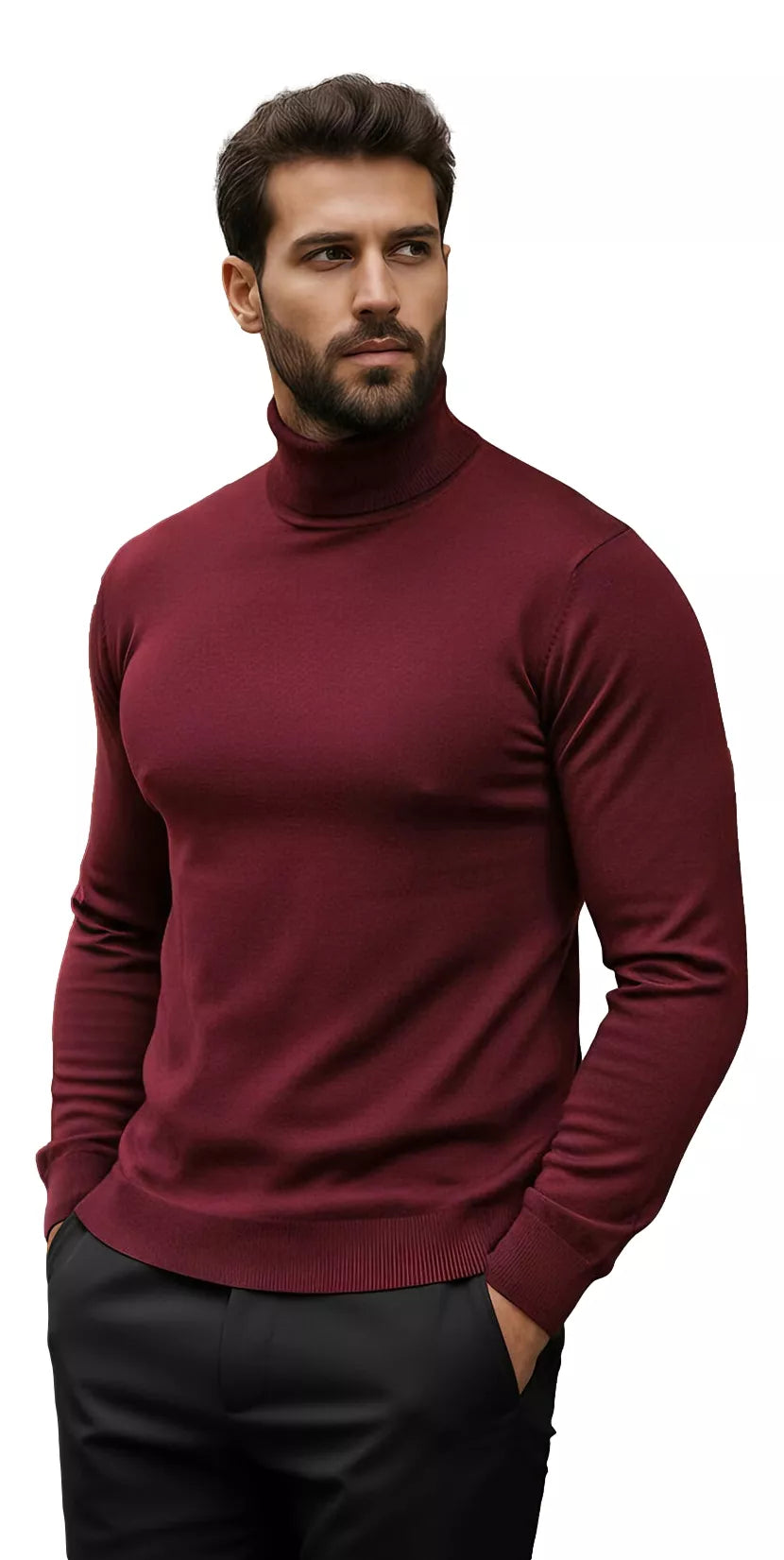 Men's burgundy turtleneck sweater Lenox