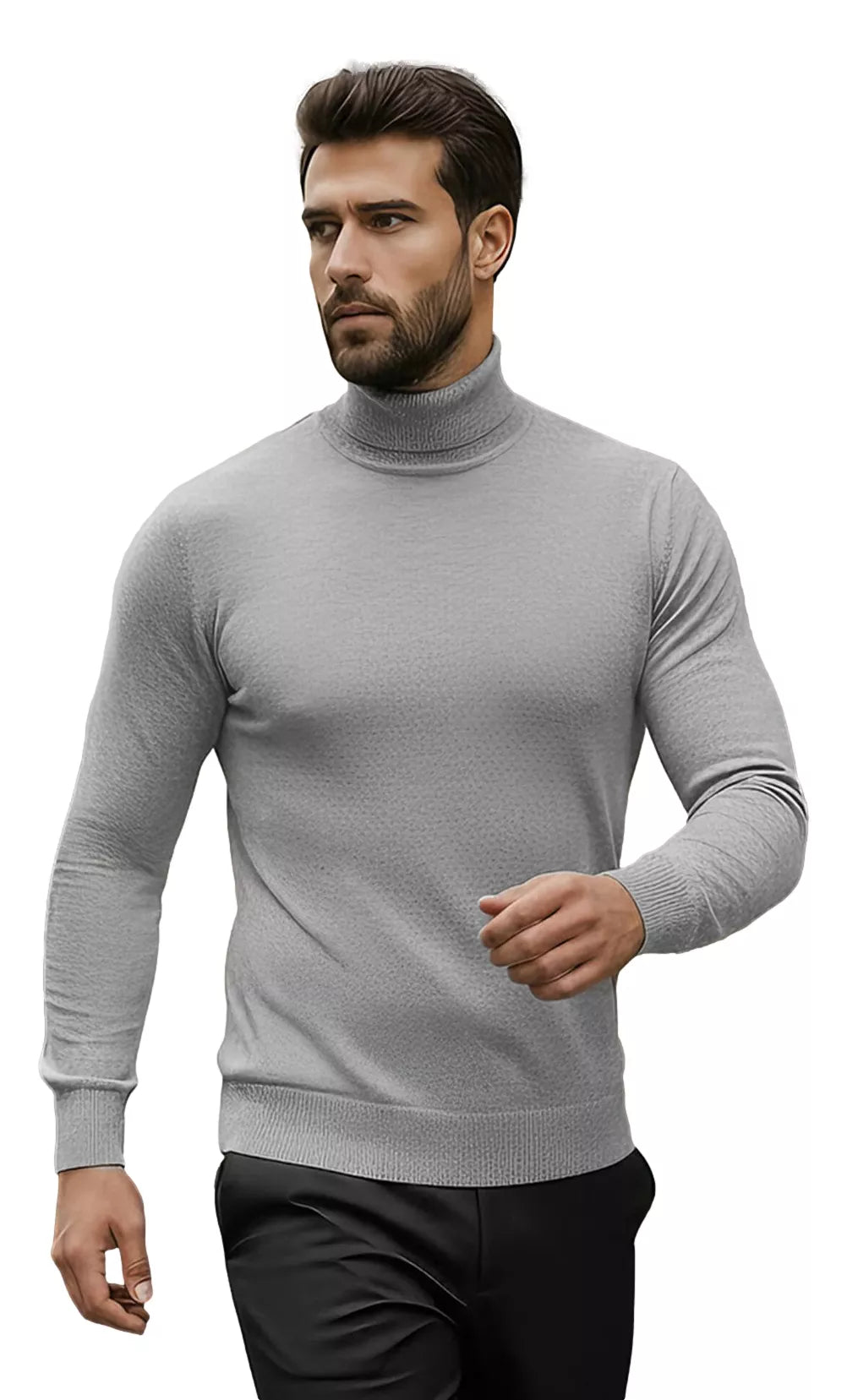 Men's gray turtleneck sweater Lenox