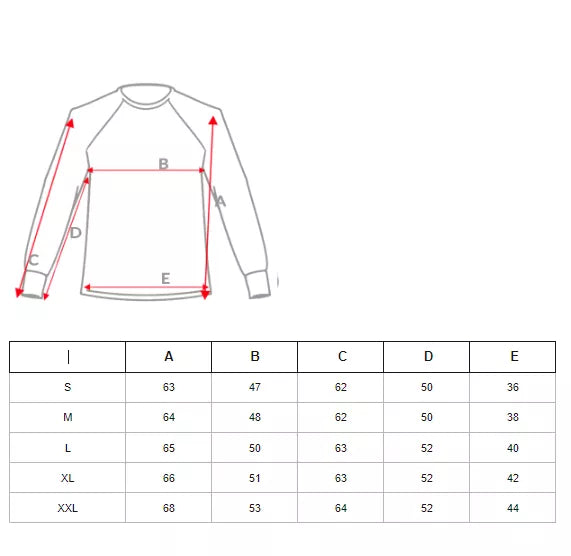 Men's gray sweater Gozil