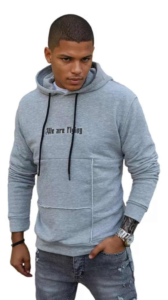 Men's gray sweater Fly
