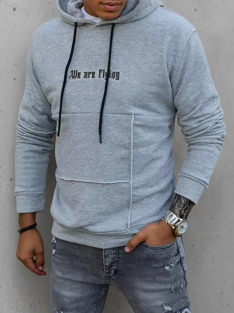 Men's gray sweater Fly