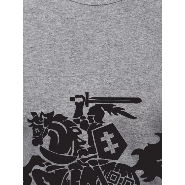 Men's gray T-shirt VYTIS
