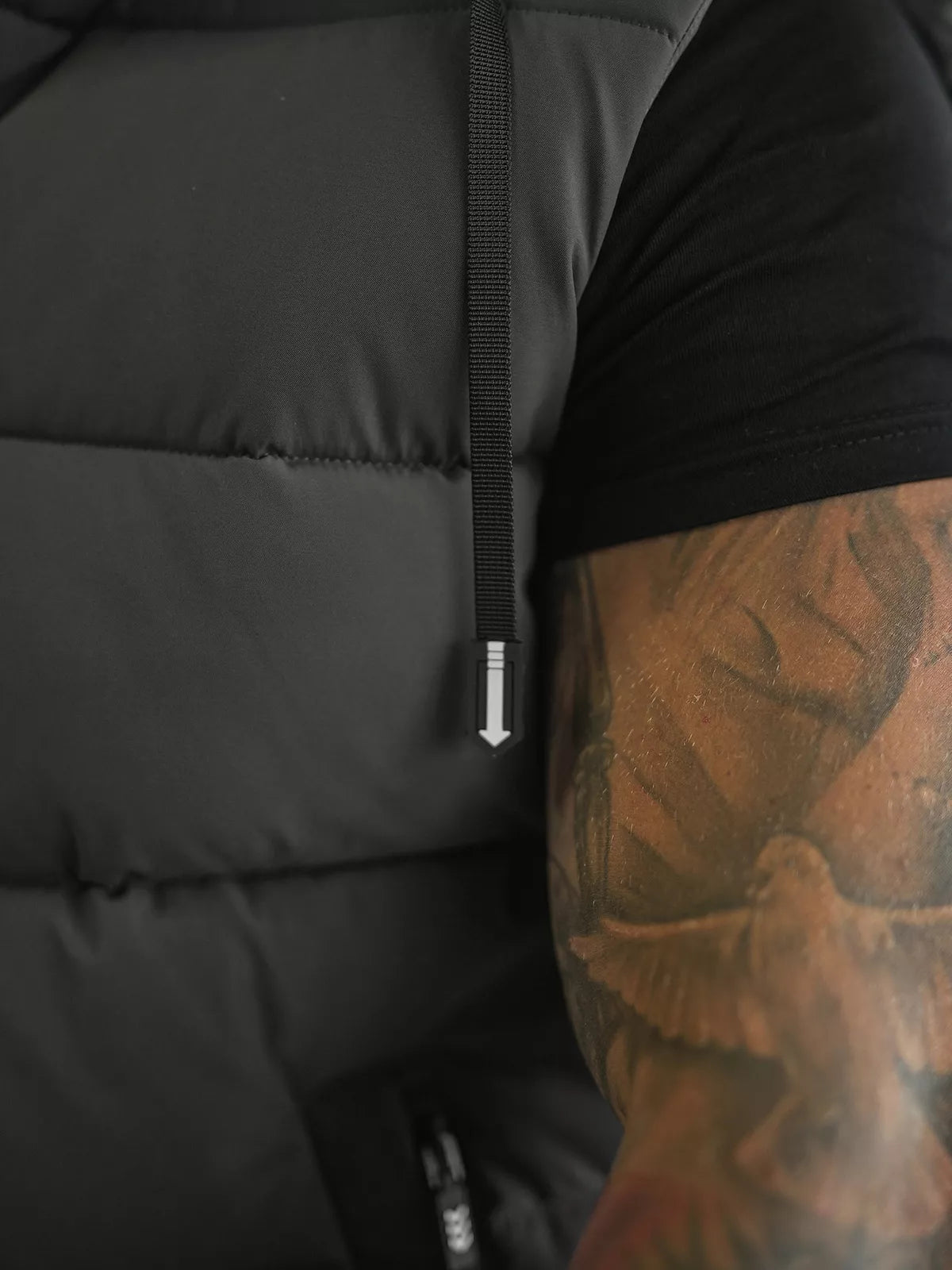 Men's dark gray vest Corles