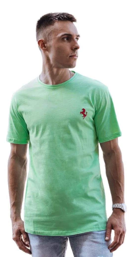 Men's mint colored T-shirt Marly 