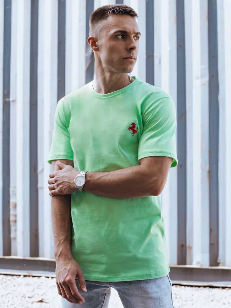 Men's mint colored T-shirt Marly 