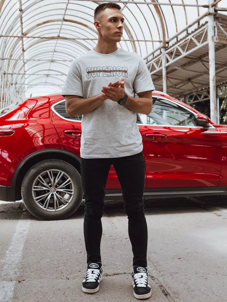 Men's light gray T-shirt with the inscription Superior