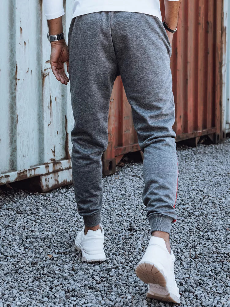 Men's gray casual pants Edma