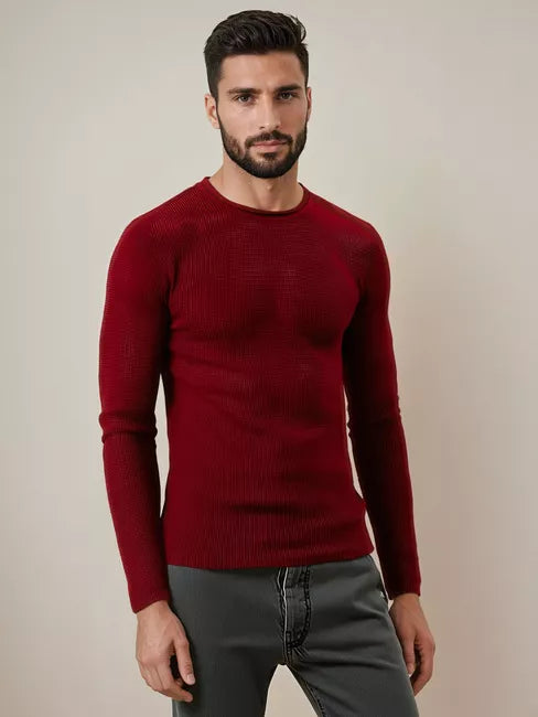 Men's burgundy sweater Areta