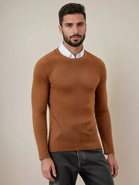 Men's brown sweater Areta