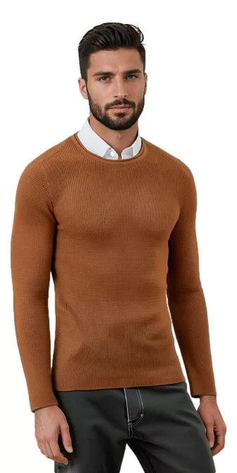 Men's brown sweater Areta