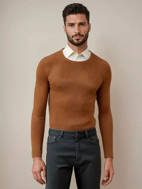 Men's brown sweater Areta