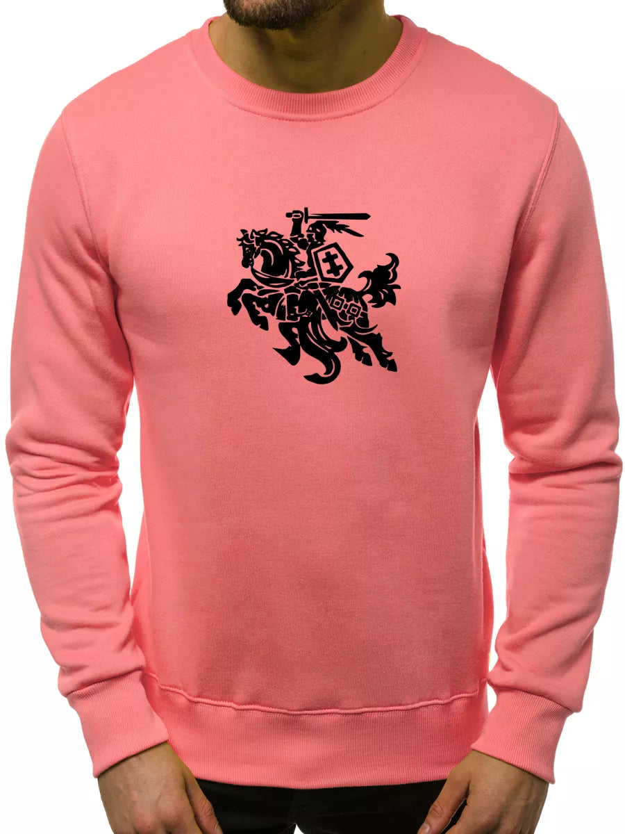 Pink sweater Vytis
