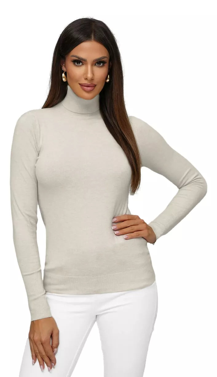 Women's brown sweater with high neck Stelin