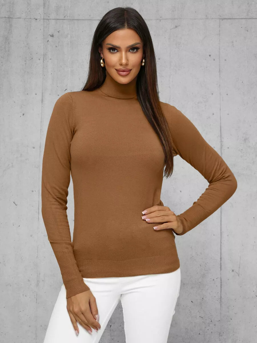 Women's brown sweater with high neck Stelin