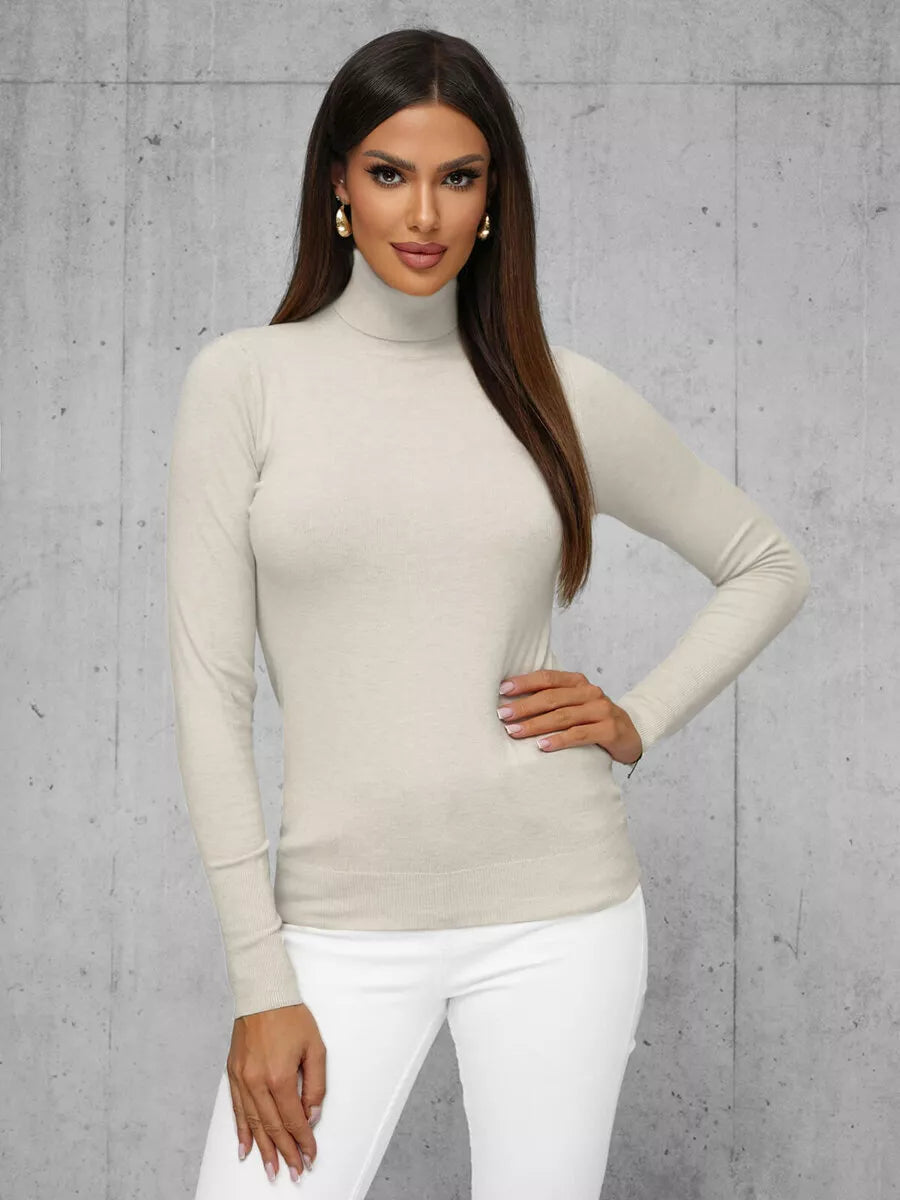 Women's brown sweater with high neck Stelin