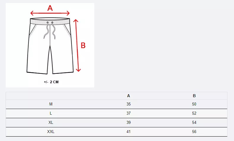 Shorts dark gray Tavor