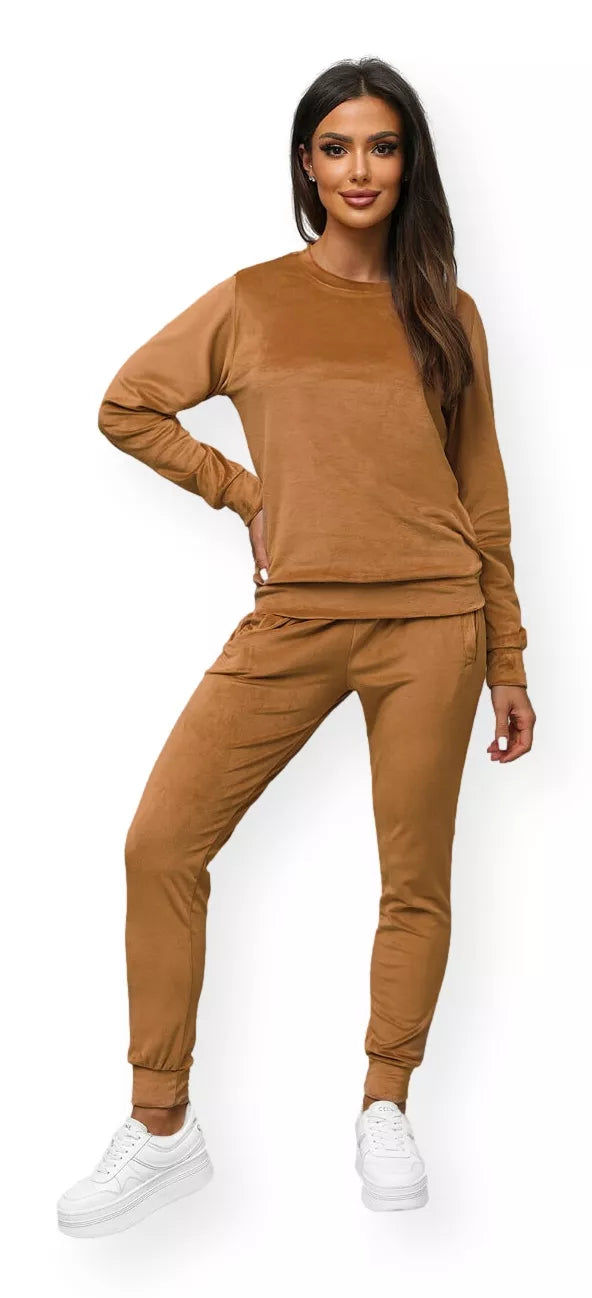 Velvety Brown Monarch