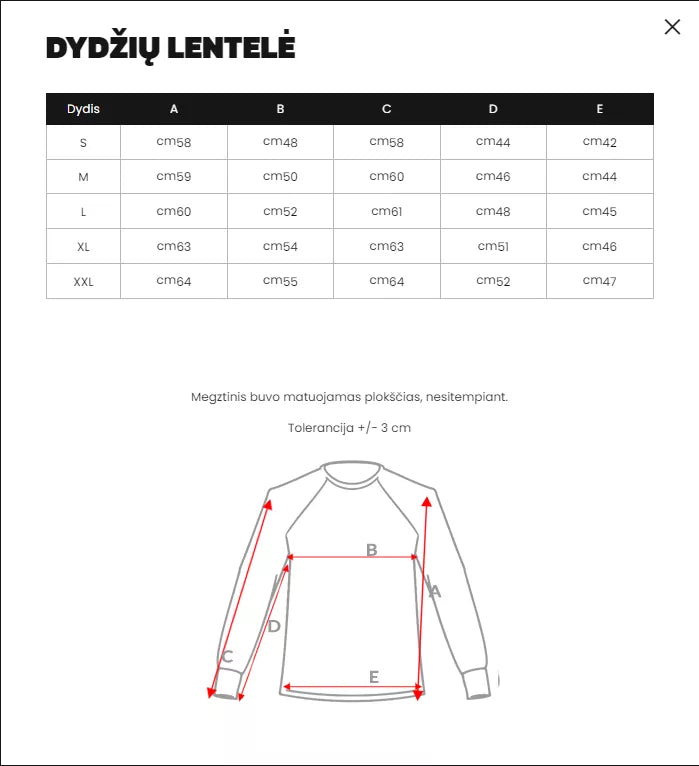 Gray women's sweater Magi