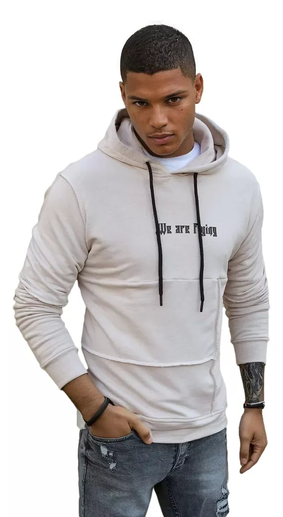 Brown men's sweater Fly