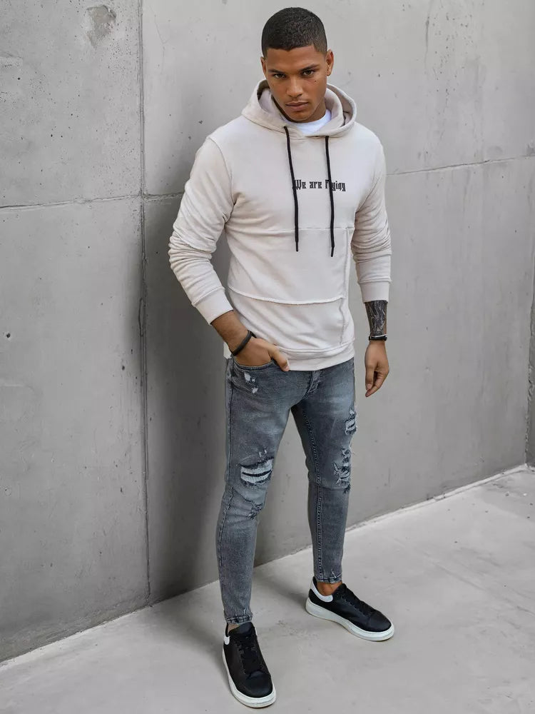 Brown men's sweater Fly