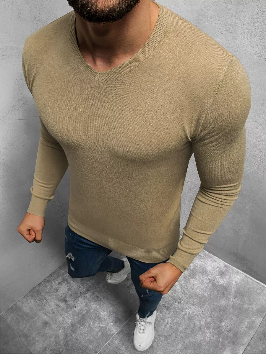 Men's sweater in brown color Robi