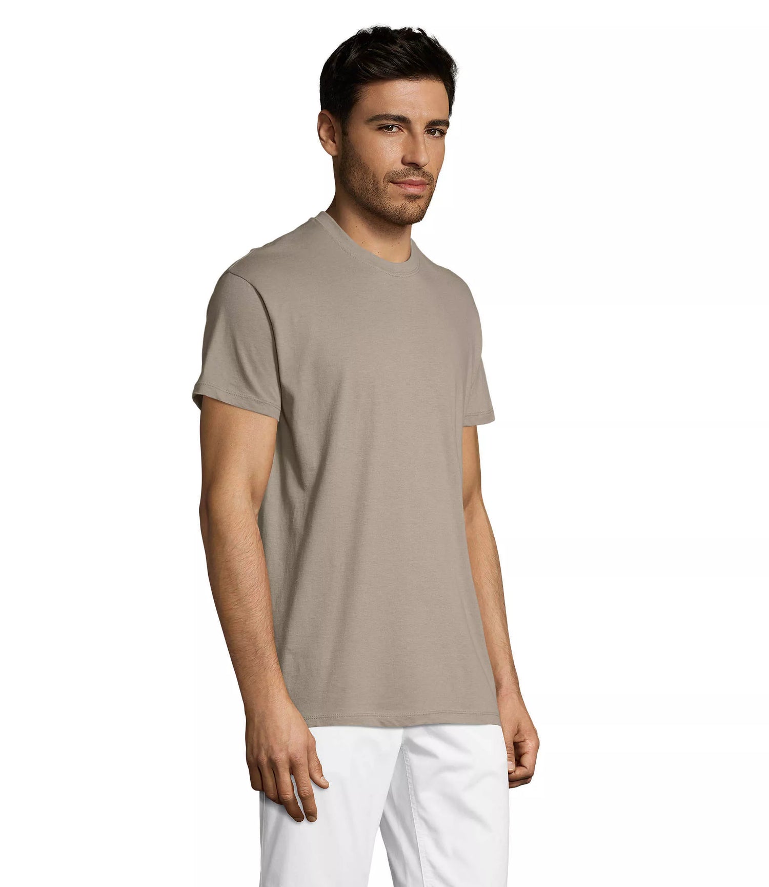 Men's light gray Regent T-shirt