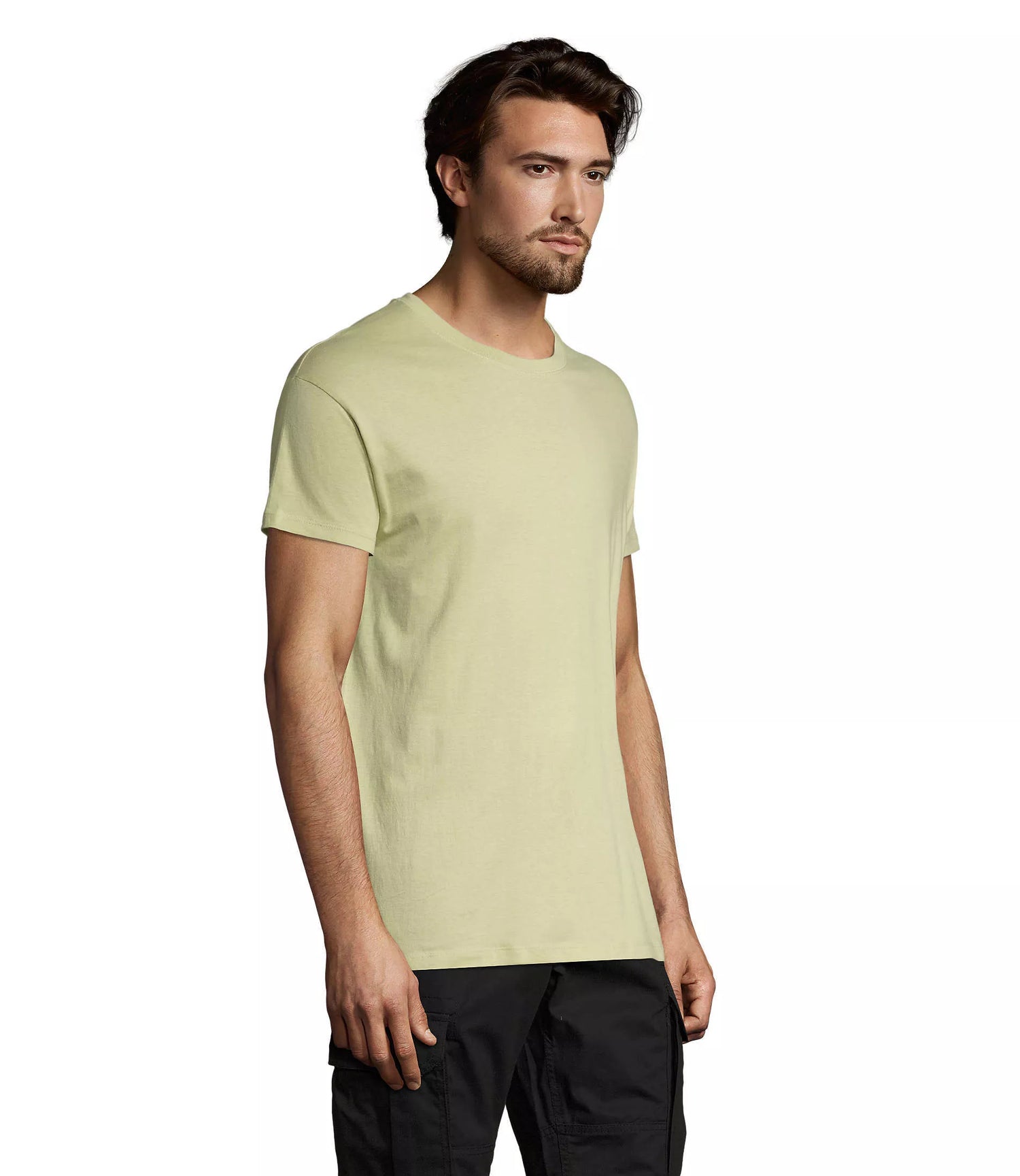 Men's sage green Regent T-shirt