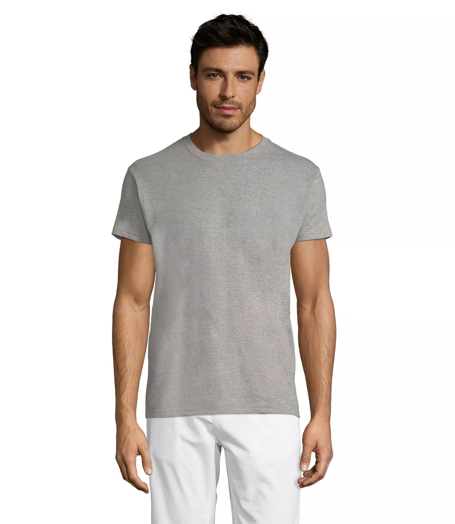 Men's grey melange T-shirt Regent