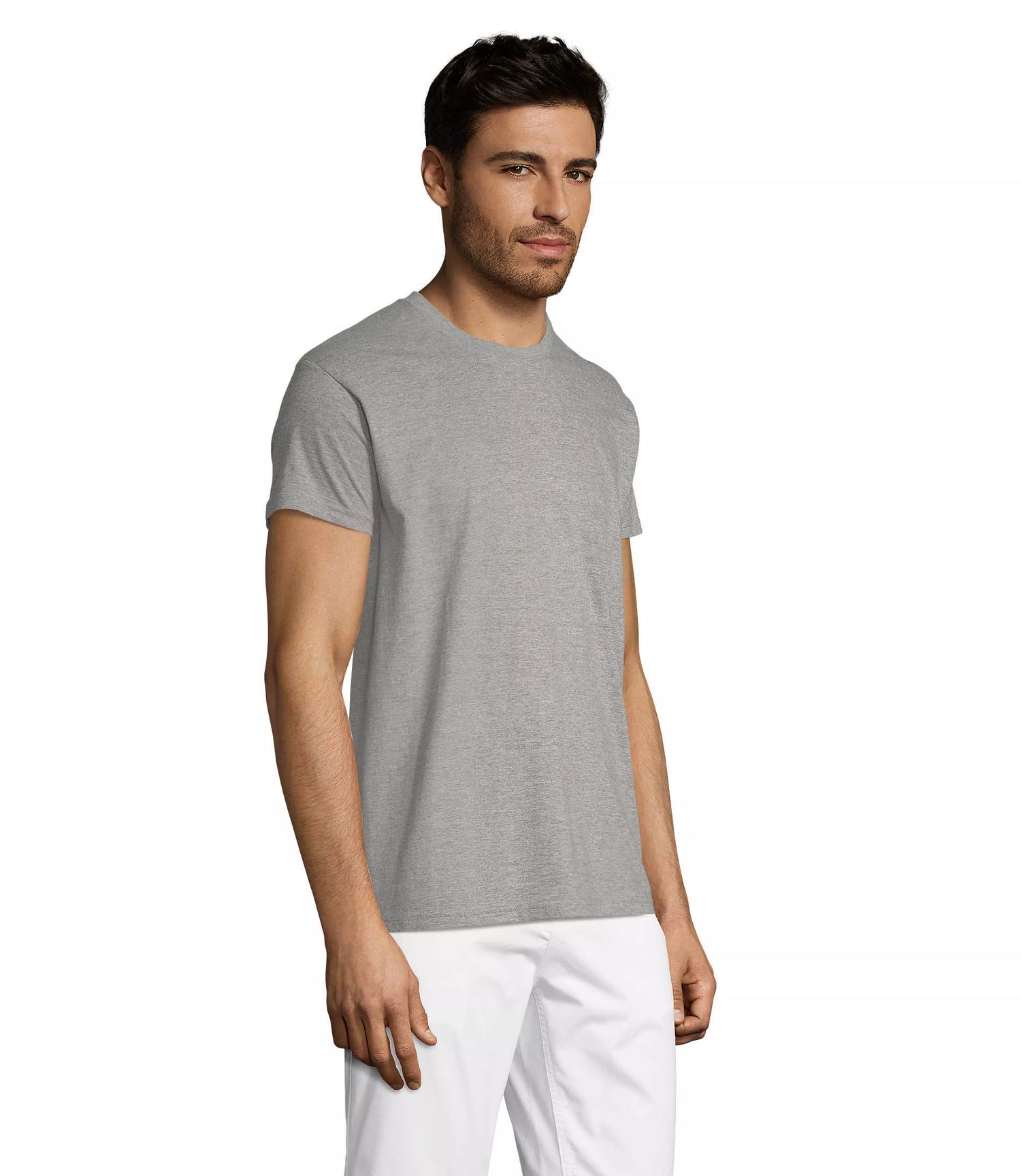 Men's grey melange T-shirt Regent