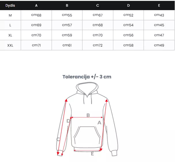 Men's dark gray sweater Feder